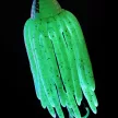 MADCAT WORMS TEASER TREBLE 2/0 GLOW IN THE DARK 100G
