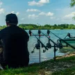 Fox Black Label QR 3 Rod Adjustable Buzz Bar XL