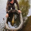 Fox Carpmaster Air Mat