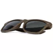 Fox Avius Khaki - Green Lens