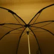 Fox 60ins Brolly