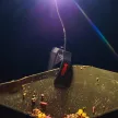 Spomb Bucket Light