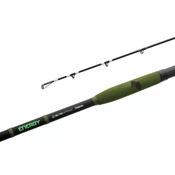 Delphin ENERGY Catfish