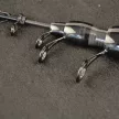 CARP EXPERT BOLOGNAI BOT EVOLUTION POWER BOLO