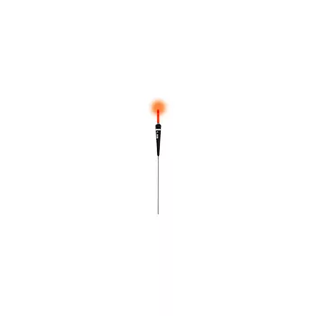 IBITE CARROT 2G