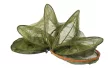 CARP EXPERT ADVANCER HALTARTÓ 50*150MM