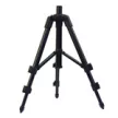CARP EXPERT MINI TRIPOD