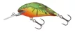 SALMO WOBBLER HORNET H5S DWD