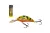 SALMO WOBBLER RATTLIN HORNET H4.5F TTT