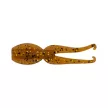 WIZARD FROGGY COL 005 10PCS/BAG