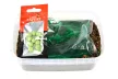 CARP EXPERT NEO BOX PELLET BOX 500G CITRUS-MIX