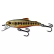 LIVETARGET TROUT JERKBAIT BROOK TROUT 70 MM 9G 