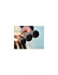 Mivardi Carbo Stick Quick Fill Long - XL /Neoprene Tokkal/