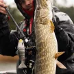 Fox Rage TR Mega Swim Casting Rod